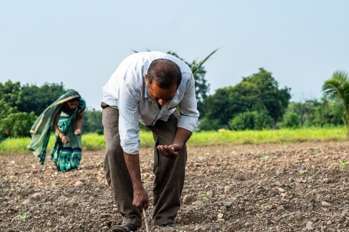 Cotton farmer