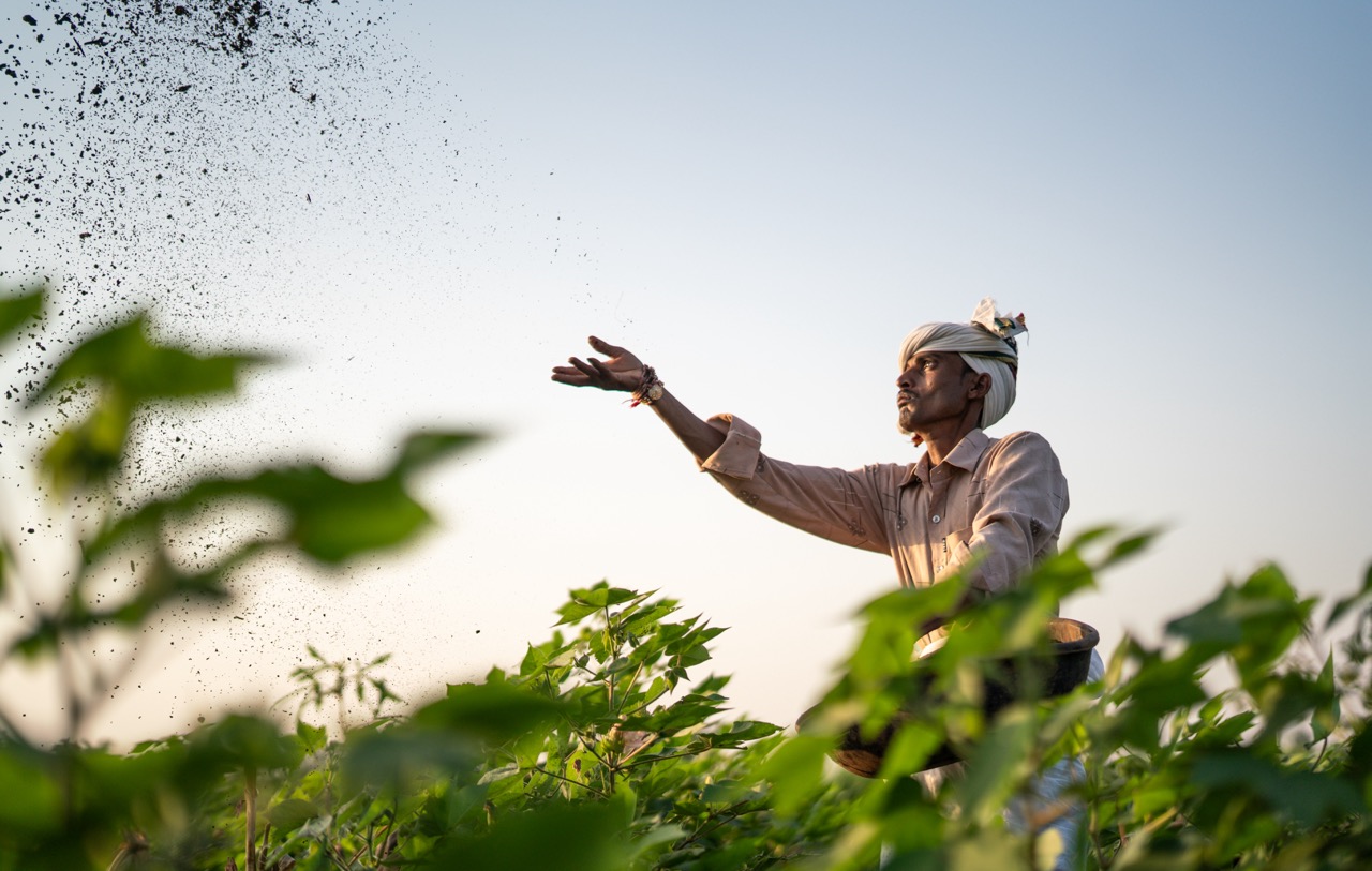 Cotton farmer