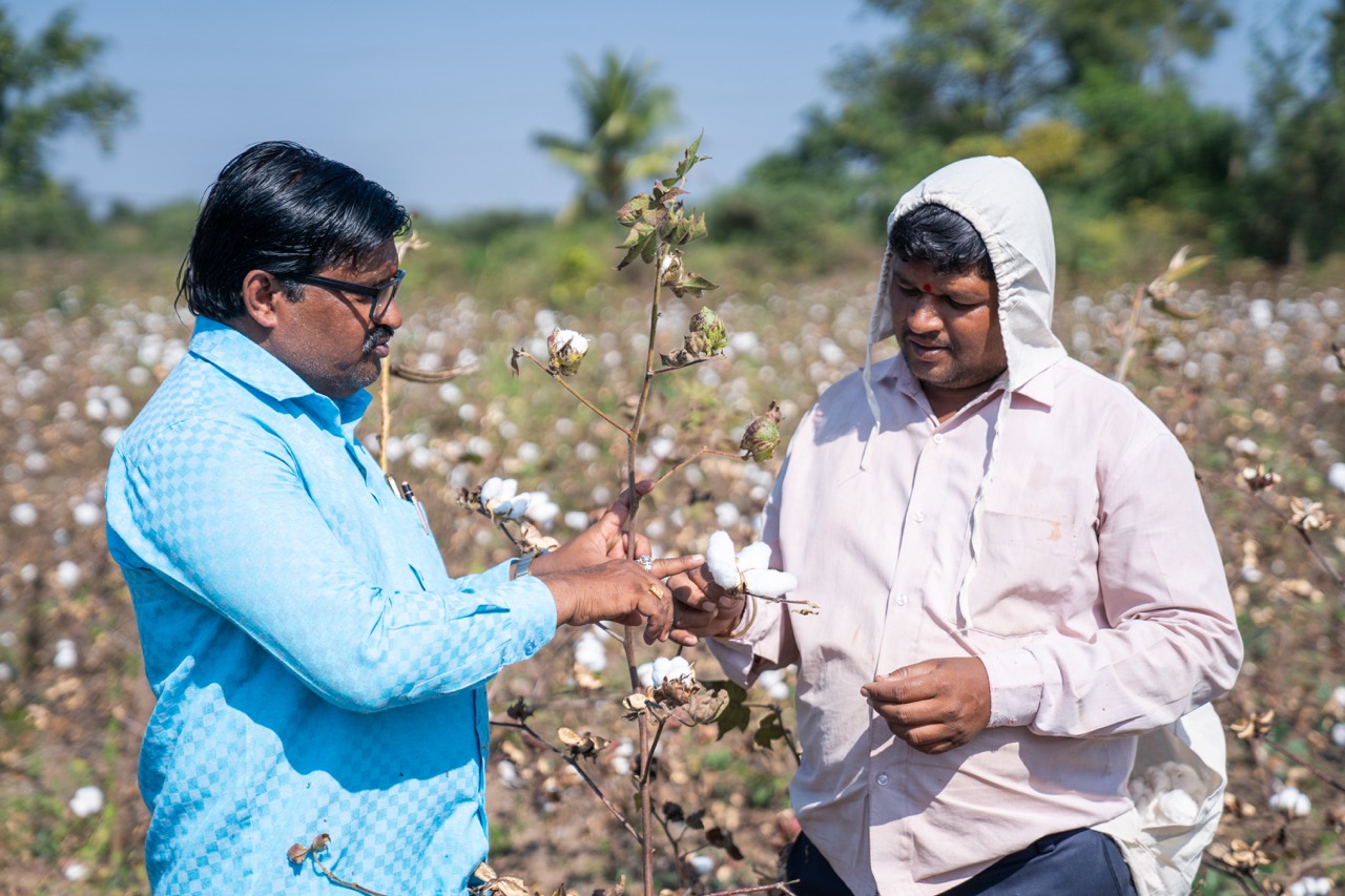 Cotton farmers