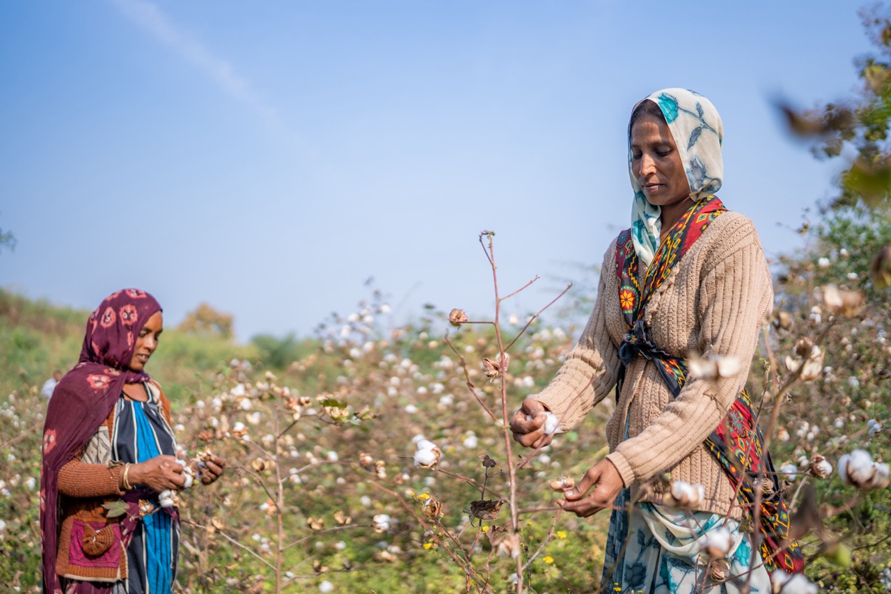 Cotton farmers